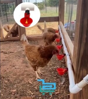 Bebedero Automático Taza Con Conector T En PVC 1/2"